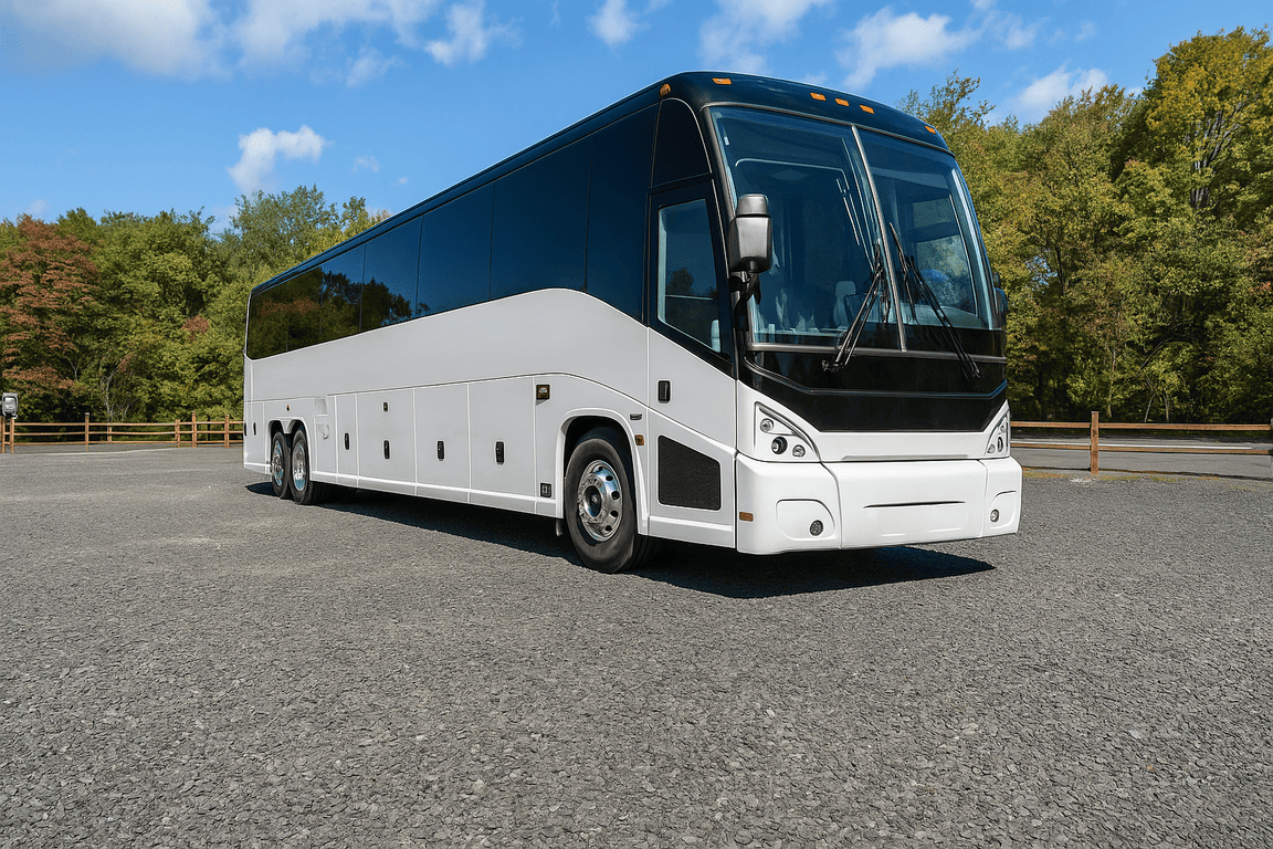 picture of League City Coach Bus Service coach bus